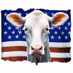 Pancakepie360 - United Beef