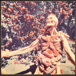 adios from everywhere - bones