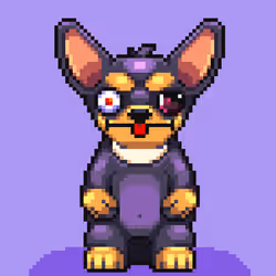 Chihuahua #161