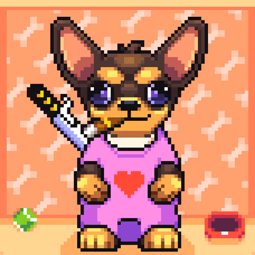 Chihuahua 11