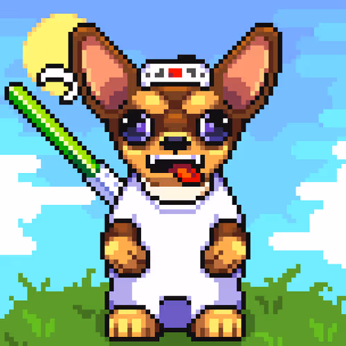 Chihuahua 11