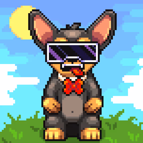 Chihuahua 11