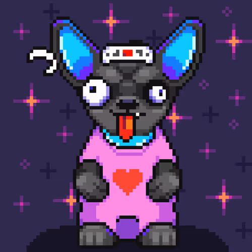Chihuahua 11