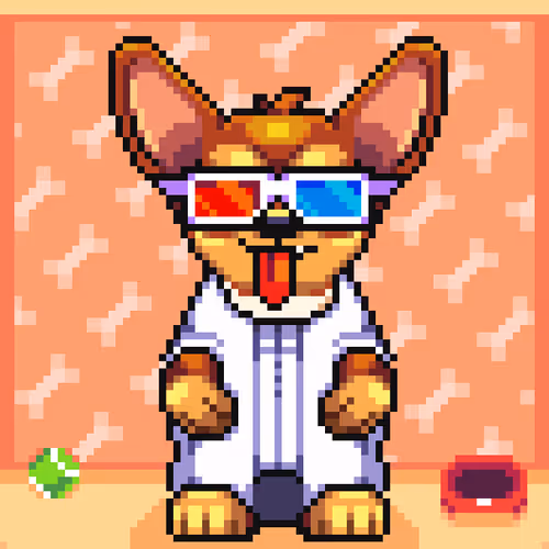 Chihuahua 11