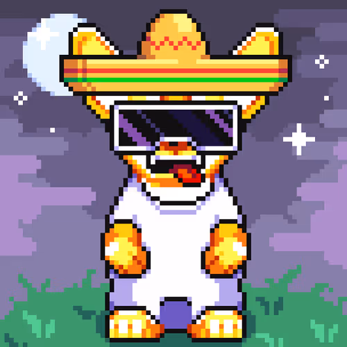 Chihuahua 11