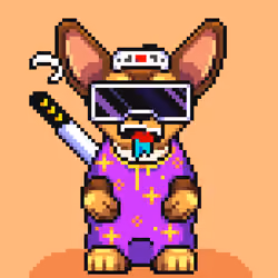 Chihuahua #65