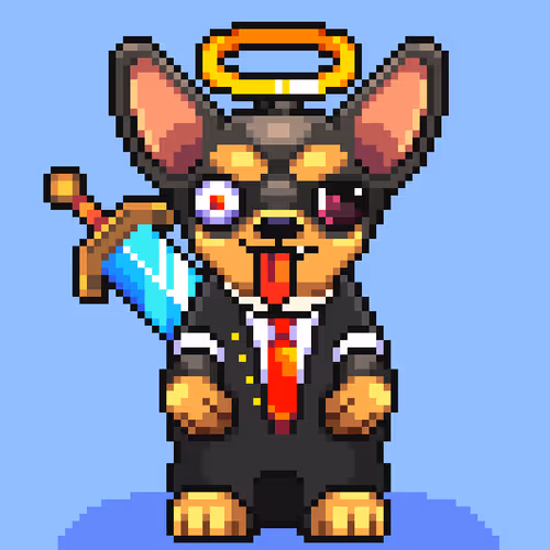 Chihuahua 11
