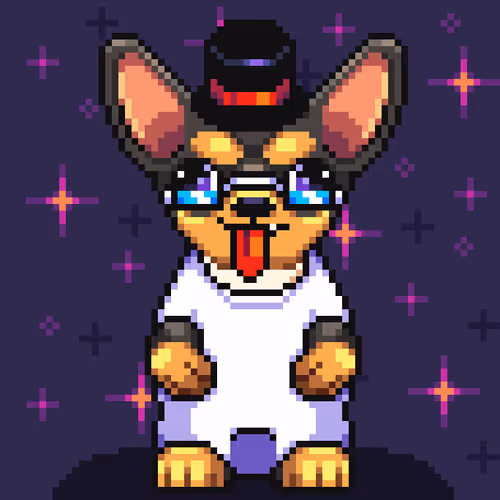 Chihuahua 11