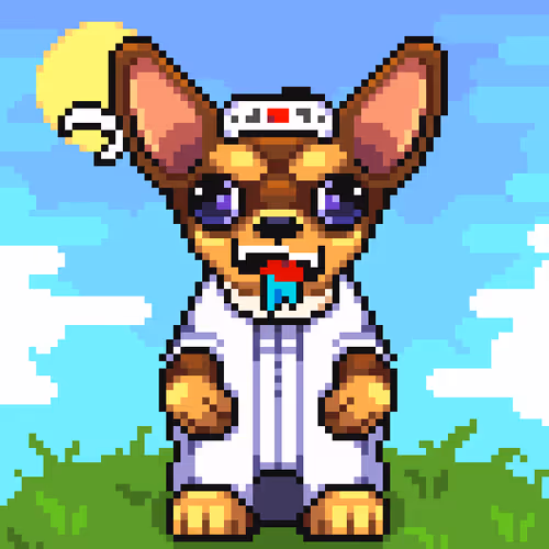 Chihuahua 11