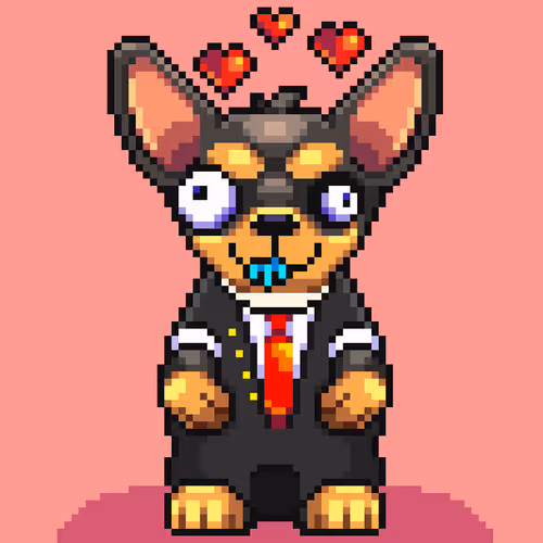 Chihuahua 11
