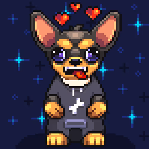 Chihuahua 11