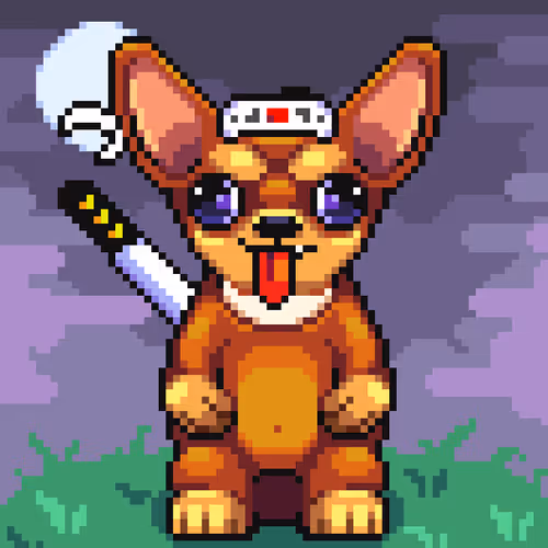 Chihuahua 11