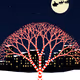 Sweet December
