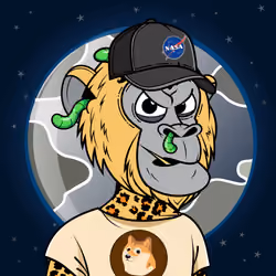 Apes of Space #4143