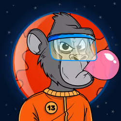 Apes of Space #1301