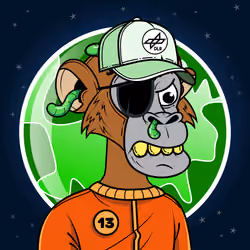 Apes of Space #9116