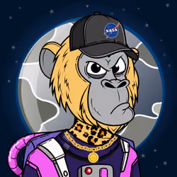 Apes of Space #6571