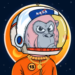 Apes of Space #3695