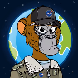Apes of Space #4665