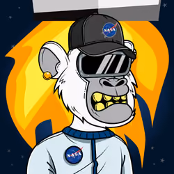 Apes of Space #8022