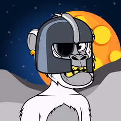 Apes of Space #7019