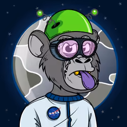Apes of Space #9805
