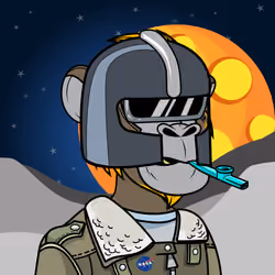 Apes of Space #9720