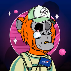 Apes of Space #1174