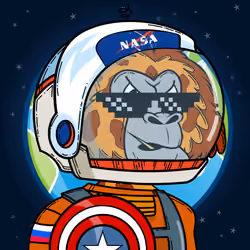 Apes of Space #6645