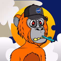 Apes of Space #4951