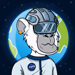 Apes of Space #6962