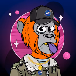 Apes of Space #9621