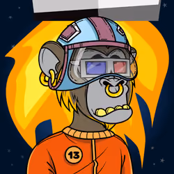 Apes of Space #8525