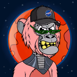 Apes of Space #6270