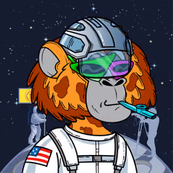 Apes of Space #4431