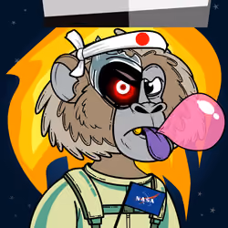 Apes of Space #1008