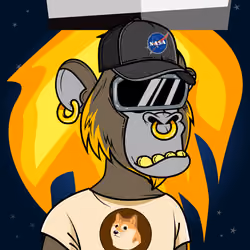 Apes of Space #6961