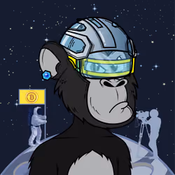 Apes of Space #6560