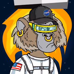 Apes of Space #4909