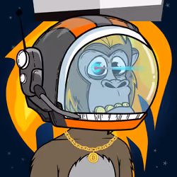 Apes of Space #8973