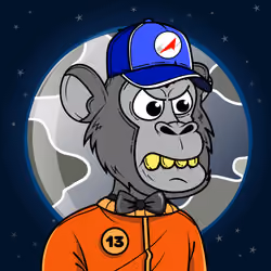 Apes of Space #6456