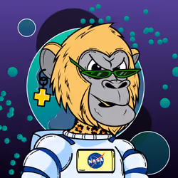 Apes of Space #4553