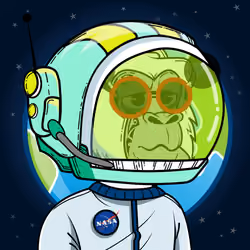 Apes of Space #6998