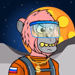 Apes of Space #5164
