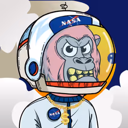 Apes of Space #6766
