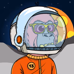 Apes of Space #6773