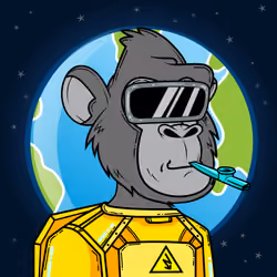 Apes of Space #5858