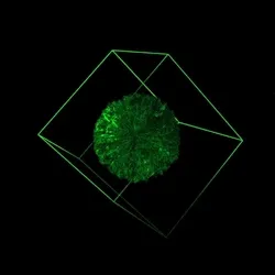 Cube Of Infinity #66
