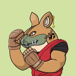 Kangafu NFT #211