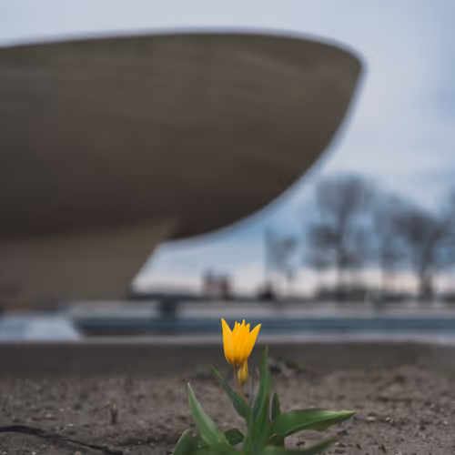 Signs of Spring